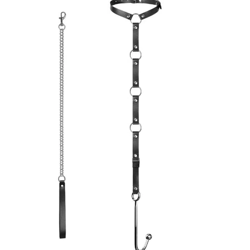 Anal Hooks 5853 Collar and Kinky Anal EverydayUse with Hook Leash 0920